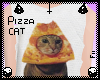 ƒ ; guise its pizza cat