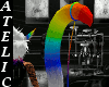 Star W-Rainbow Tail M/F