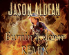 Burnin It Down(Remix)