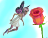 Glow Fairy Rose + Poses
