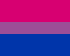Bisexual Wall Flag