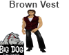 [BD] Dark Brown Vest