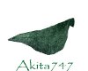 Akitas pixie leaf boat