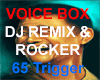 Voice Box DJ Remix-Rock