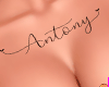 Antony Tattoo