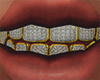 Gold + Diamond Grillz