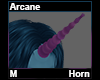 Arcane Horn M