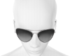 DNNY SLVR/BLK SUNGLASSES