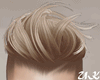 Rick Blonde Hair