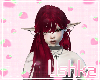 ♡ Elfye wine
