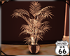 SD Brown Gold Palm 1