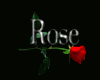 Round Red Rose Rug