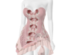 GP Pink Corset Frill D
