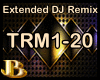 TRM DJ REMIX