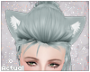 ✨  Ice Cat Ears