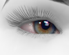 Charm Eyes