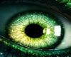 Green Realistic eyes