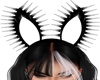 Nyx spike bunny ears