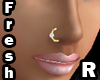 Nose Piercing RT F GLD