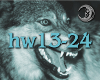 (HW13-24)HungryWolf2