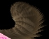 Callie tail 2
