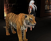 Yellow Tiger Walk