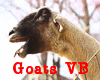 JK! Goat Scream VB