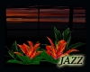 Jazzie-Tropical Plants