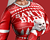 Xmas Cat Sweater Red