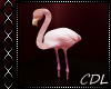 !C* I Flamingo
