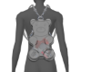 Gummy Backpack V2