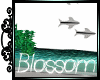 Blossom spa fishtank