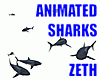 SHARKS PET ANIMATED