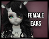 Tahlias ears