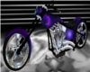Purple Passion Harley