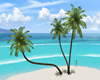 palmp palmeras beach