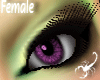 38RB Violet Eyes - F