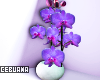 Orchid Flower Vase