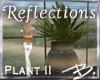 *B* Reflections Plant II