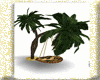 Arabic palmera