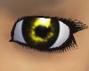 [KD] Golden Eyes - F