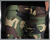 Chino Pants v3