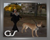 GS Umbrella Walking Dog