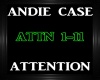 Andie Case ~ Attention