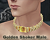 Golden SHoker Male