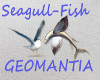 seagull & Fish filler