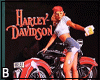 Motorcycle Poster