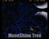 *MoonShine Tree