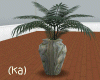 (ka)Fern in Vase