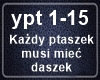 Kazdy ptaszek musi miec